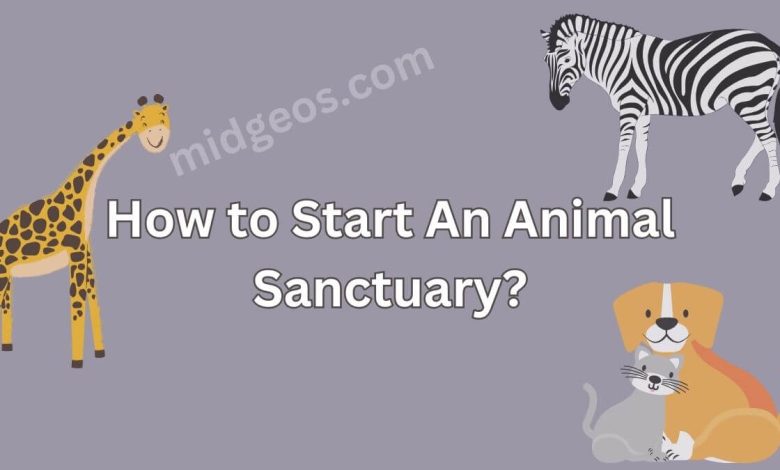 How to Start An Animal Sanctuary