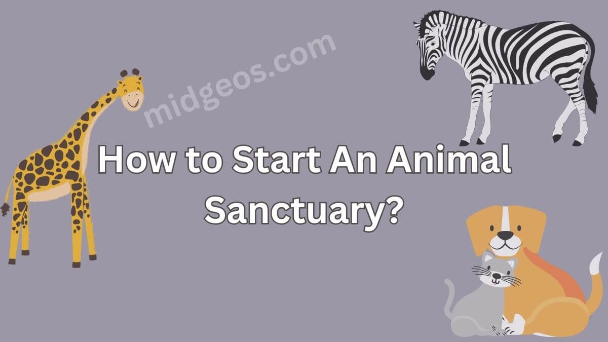How to Start An Animal Sanctuary