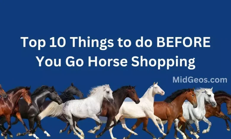 before you go horse shopping