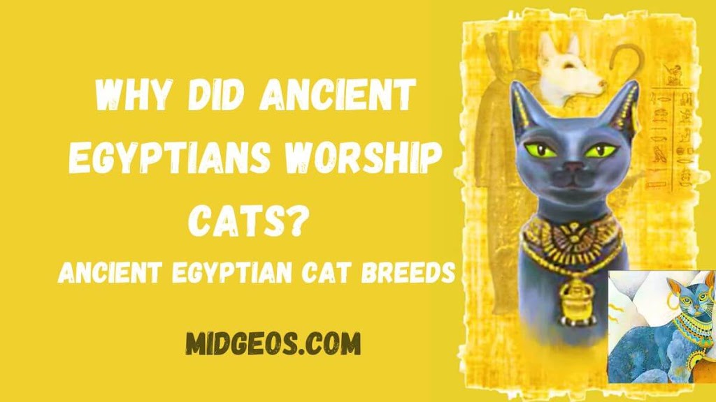 why did ancient egyptians worship cats