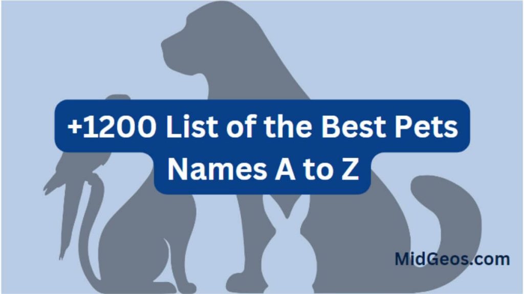1200 List of Pets Names 2023 A to Z