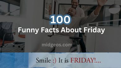 100 Funny Facts About Friday