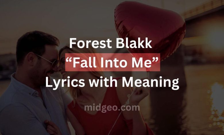 Forest Blakk Fall Into Me Lyrics with Meaning