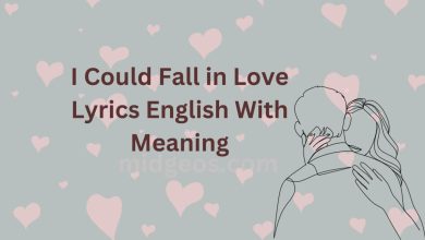 I could fall in love lyrics