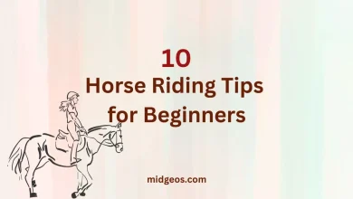 horse riding tips for beginners