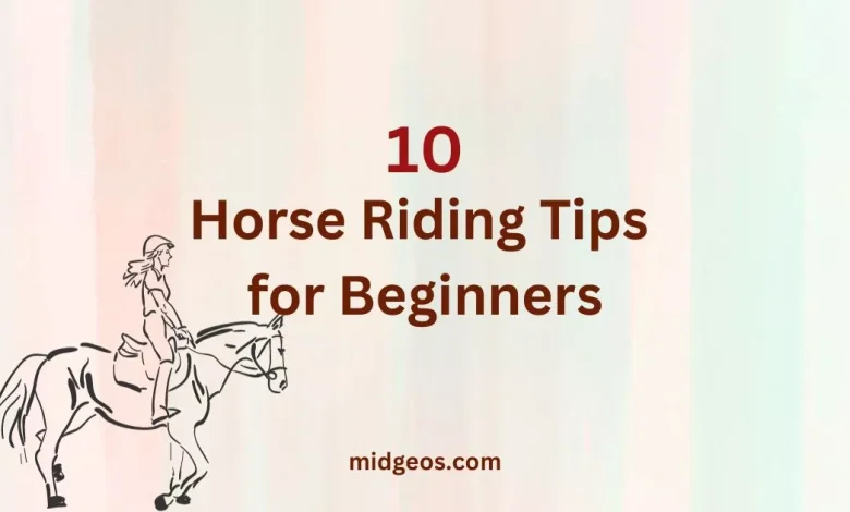 horse riding tips for beginners