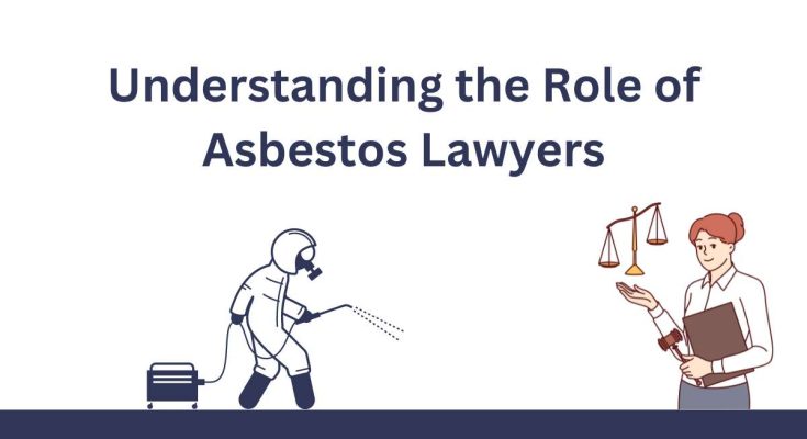 Understanding the Role of Asbestos Lawyers