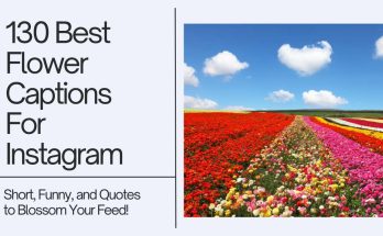130 Best Flower Captions For Instagram Short, Funny, and Quotes to Blossom Your Feed