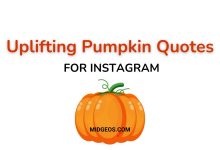 115 Uplifting Pumpkin Quotes for Instagram