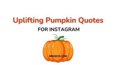 115 Uplifting Pumpkin Quotes for Instagram