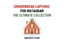 145 Gingerbread Captions for Instagram