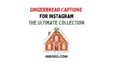 145 Gingerbread Captions for Instagram