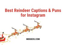 190 Best Reindeer Captions & Puns for Instagram