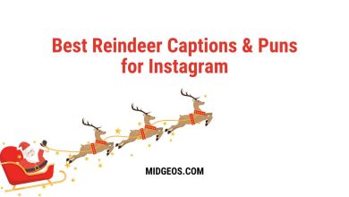 190 Best Reindeer Captions & Puns for Instagram