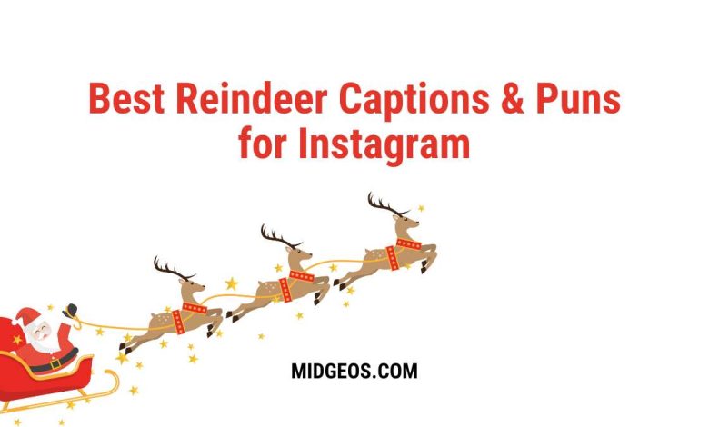 190 Best Reindeer Captions & Puns for Instagram