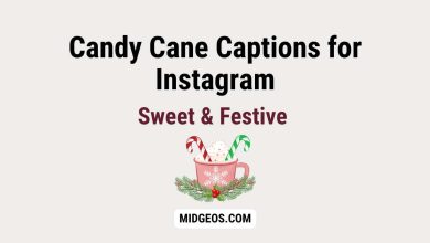 Candy Cane Captions for Instagram