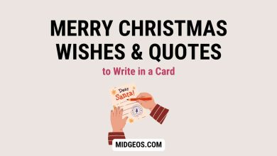 Merry Christmas Wishes & Quotes to Write in a Card