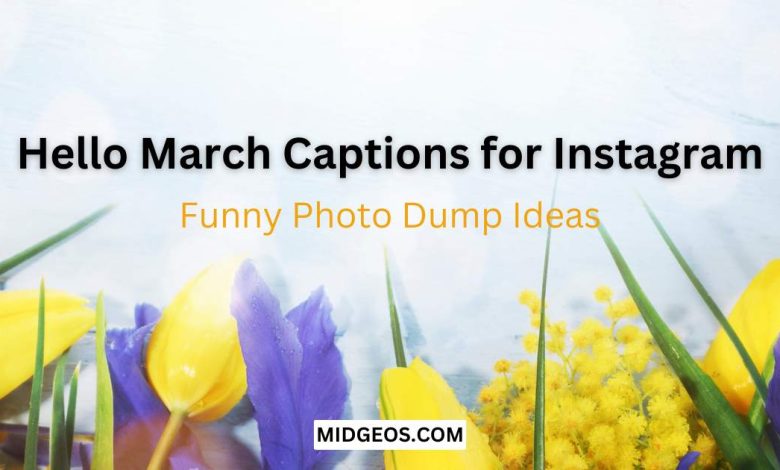 105 Hello March Captions for Instagram: Funny Photo Dump Ideas 1 Hello March Captions for Instagram Funny Photo Dump Ideas