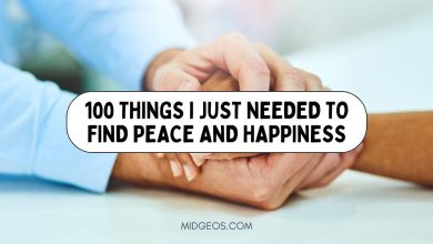 100 Things I Just Needed to Find Peace and Happiness