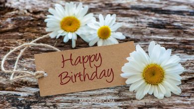 55 Funny Happy Birthday Wishes for Men