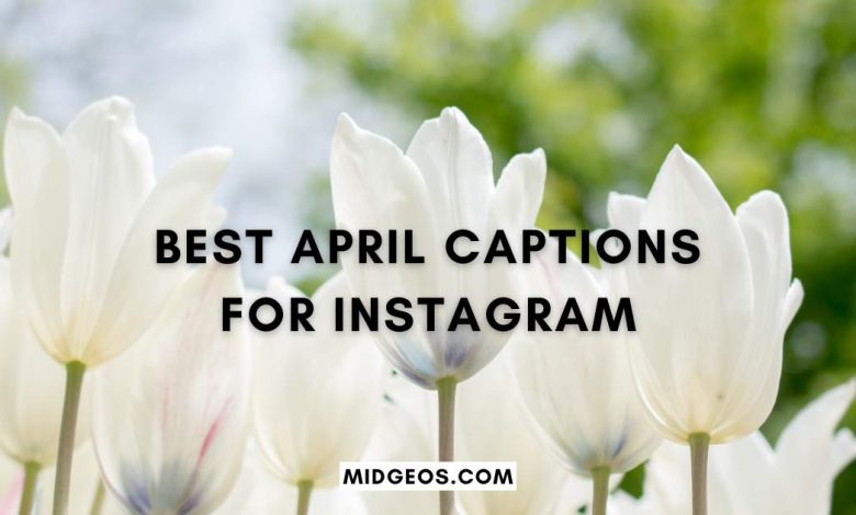 125 Best April Captions for Instagram – Funny, Cute & Short 1 125 best april captions for instagram funny cute short