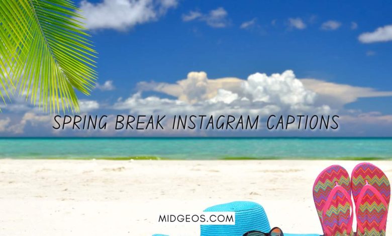 120 Spring Break Instagram Captions to Make Your Feed Pop 1 spring break instagram captions