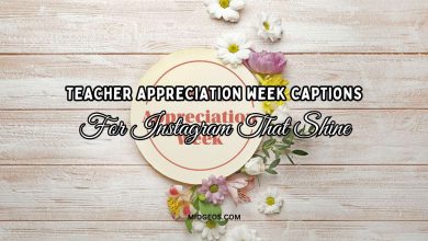 teacher appreciation week captions for Instagram