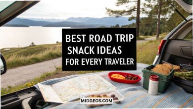 Best Road Trip Snack Ideas for Every Traveler