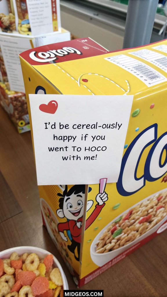37 Homecoming Proposal Ideas (2025): Cute, Funny & Unique Ways to Ask Someone to HOCO 3 hoco proposals ideas funny