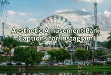Aesthetic Amusement Park Captions for Instagram