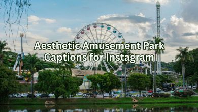 Aesthetic Amusement Park Captions for Instagram