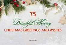 Beautiful Merry Christmas Greetings and Wishes