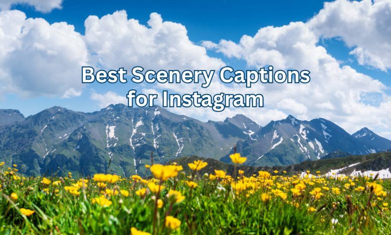 90 Best Scenery Captions for Instagram to Elevate Your Nature Posts 1 Best Scenery Captions for Instagram