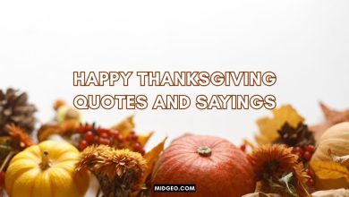 120 Happy Thanksgiving Quotes and Sayings (2025) to Inspire Gratitude, Joy & Togetherness 14 Happy Thanksgiving quotes and sayings with warm seasonal inspiration