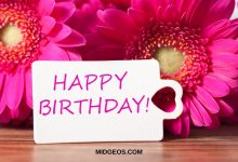 Birthday wishes for sister in law with heartfelt message