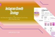 Instagram Growth Strategy How I Grew My Instagram to 3,200+ Followers in Just 21 Days
